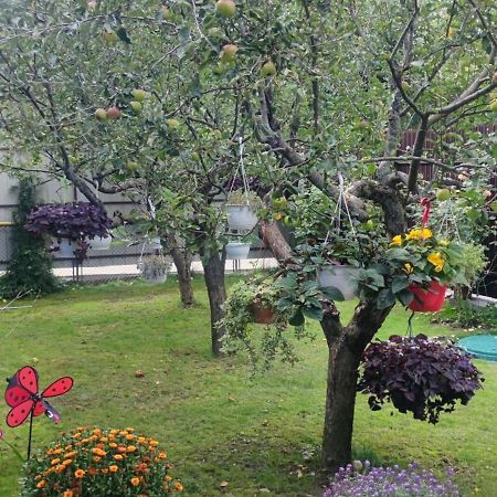 Casa M Apartment Campulung Moldovenesc Ngoại thất bức ảnh